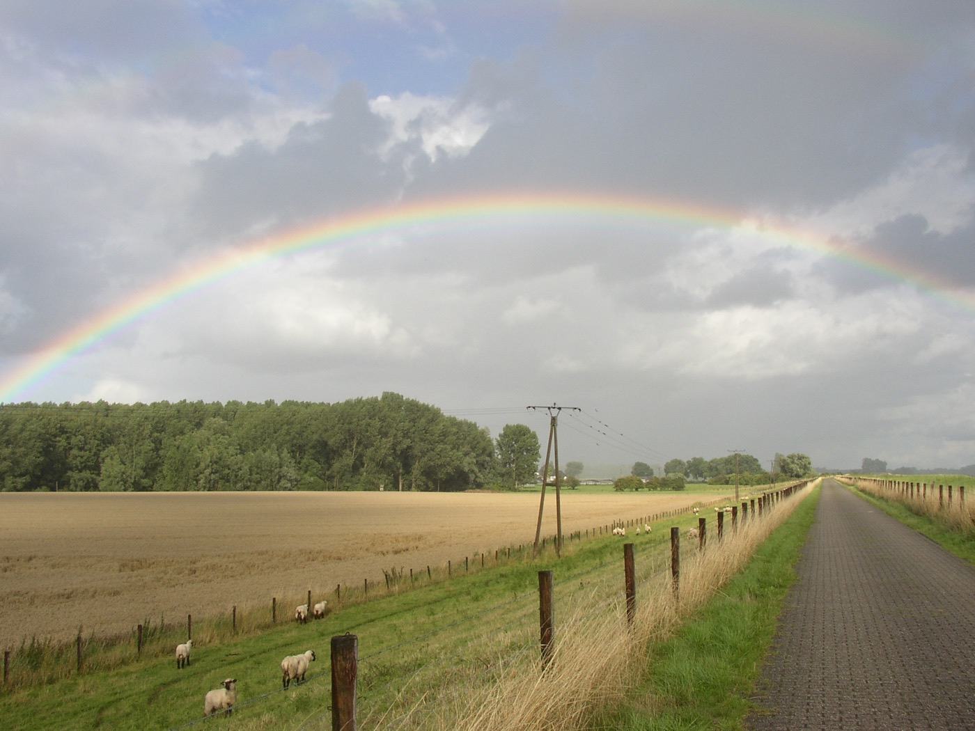Regenbogen über einem Weg in der niederrheinischen Landschaft